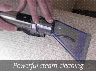 Power Steam Cleaning 